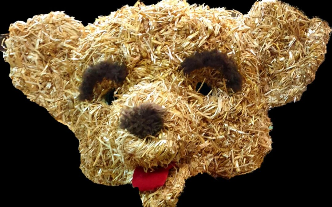 Wodzenie Niedźwiedzia! 22.02.2020