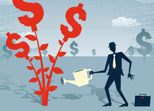 Firmy z naszych okolic